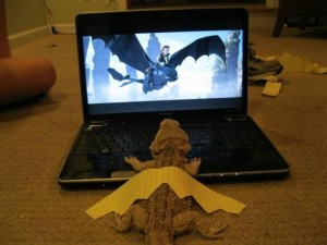 l-How-To-Train-Your-Dragon