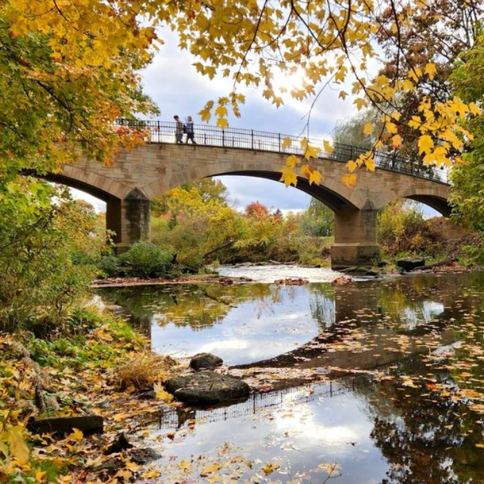 nature walk bridge