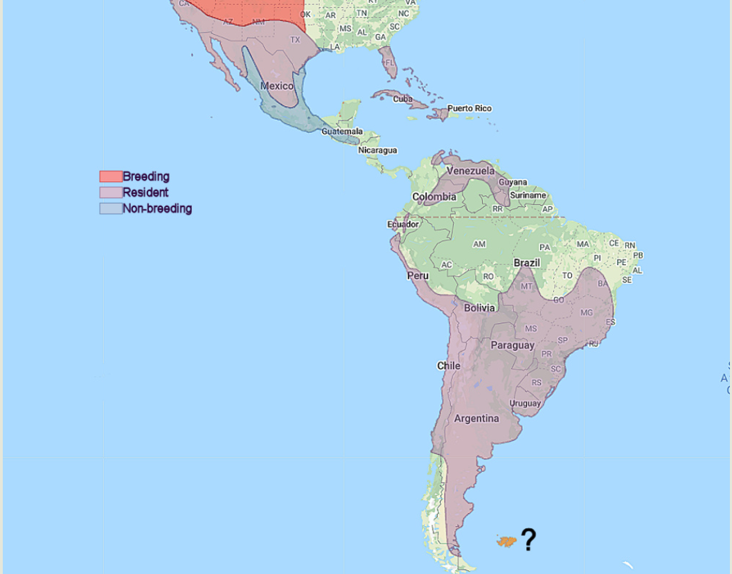 map indicating burrowing owl range in south america, which is pretty much everywhere that isn't the amazon rainforest or patagonia