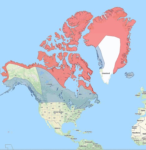 a map of north america indicating the range of the snowy owl. The snowy owl can be found on the northern coastline of alaska, canada, and greenland.