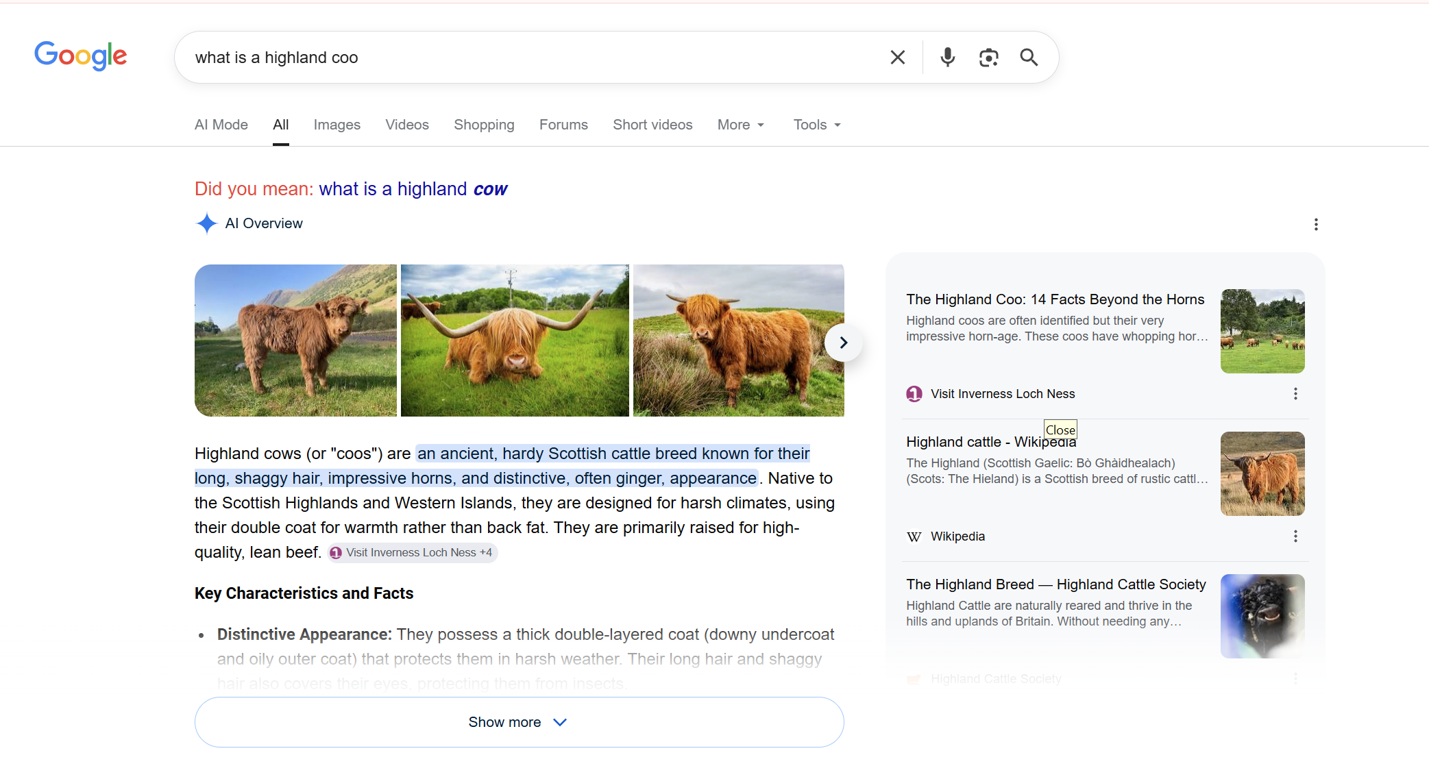 Highland Coo example of a Feature Snippet