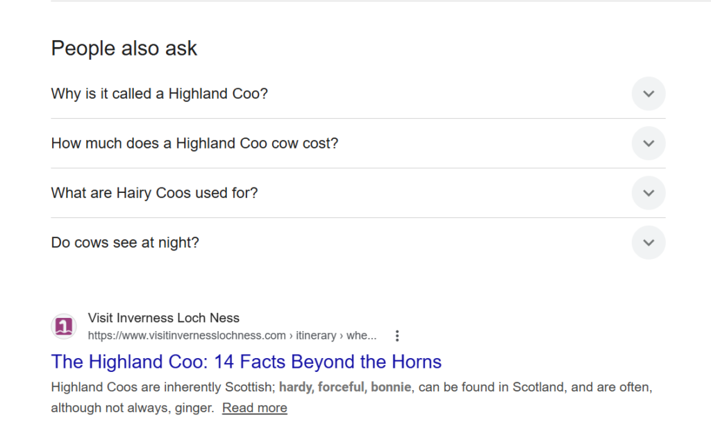 Highland Coo example of the SERP Feature, People Also Ask